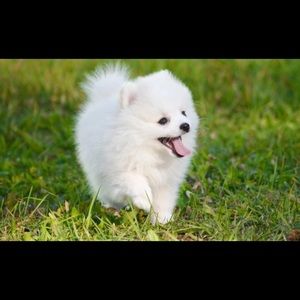 Meet your Posher, Mariah